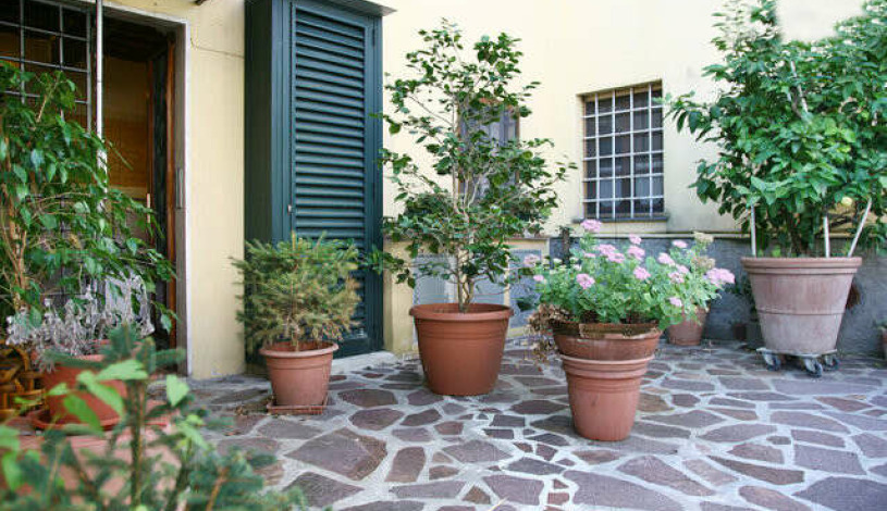 Apartment Via Mammini Lucca - Apt 35138