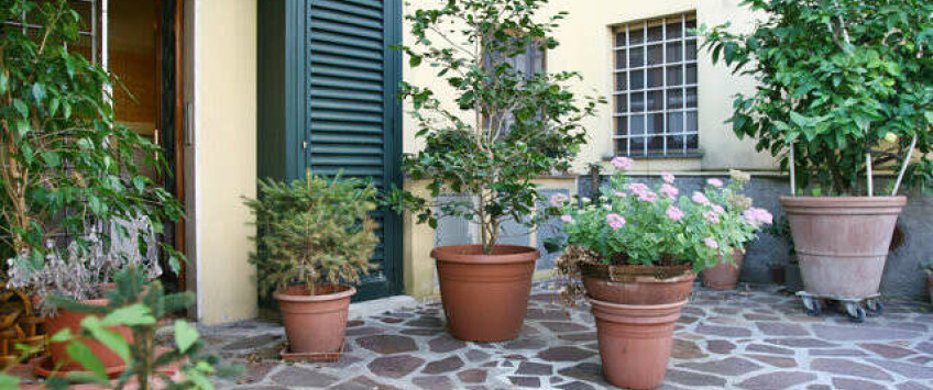 Apartment Via Mammini Lucca - Apt 35138