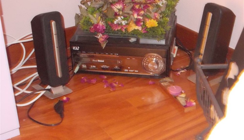 Apartment Via Pierluigi da Palestrina 1 Firenze - Apt 38380