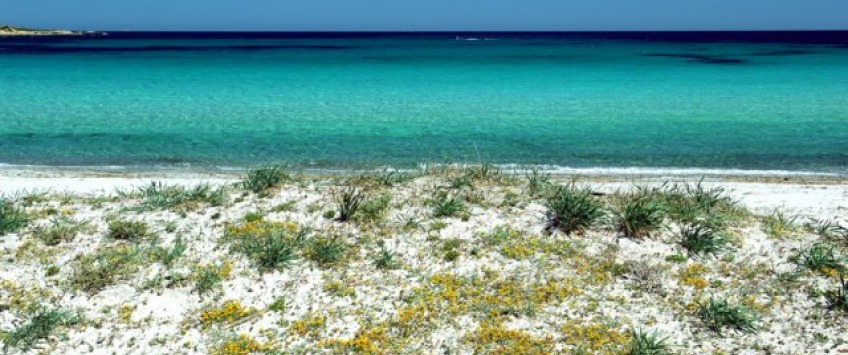 Apartment Via Su Puntu Sardinia - Apt 35399