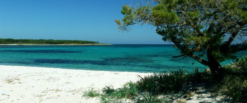 Apartment Via Su Puntu Sardinia - Apt 35402