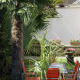 Apt 34133 - Apartment Via Tordara Sorrento