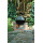 Apartment Via Villa Fontana Lucca - Apt 35925