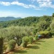 Apt 35925 - Apartment Via Villa Fontana Lucca