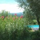 Apt 35925 - Apartment Via Villa Fontana Lucca