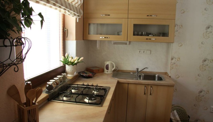 Vila Janáček Luhačovice