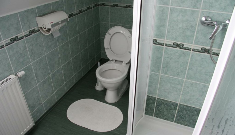 Vila Janáček Luhačovice