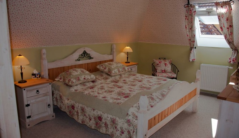 Vila Janáček Luhačovice - vila