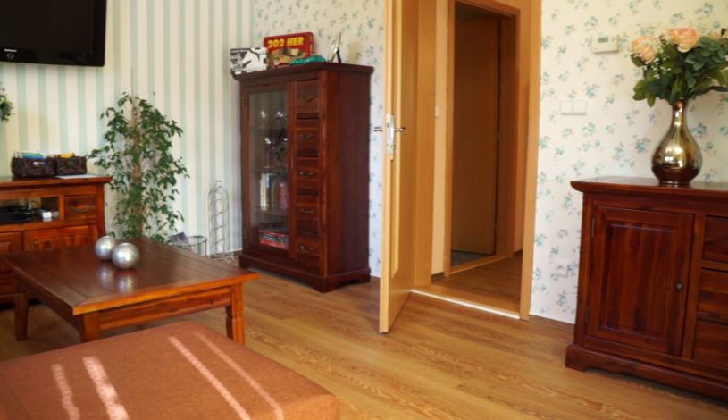 Vila Janáček Luhačovice - vila