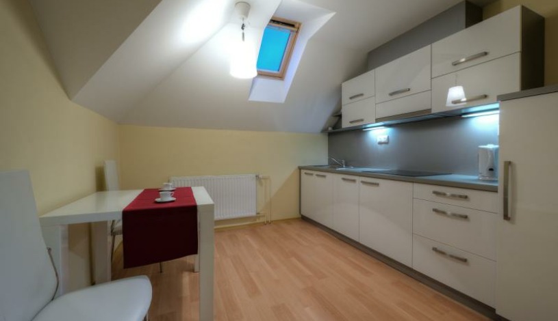 Vila Jiřinka Luhačovice - Manager