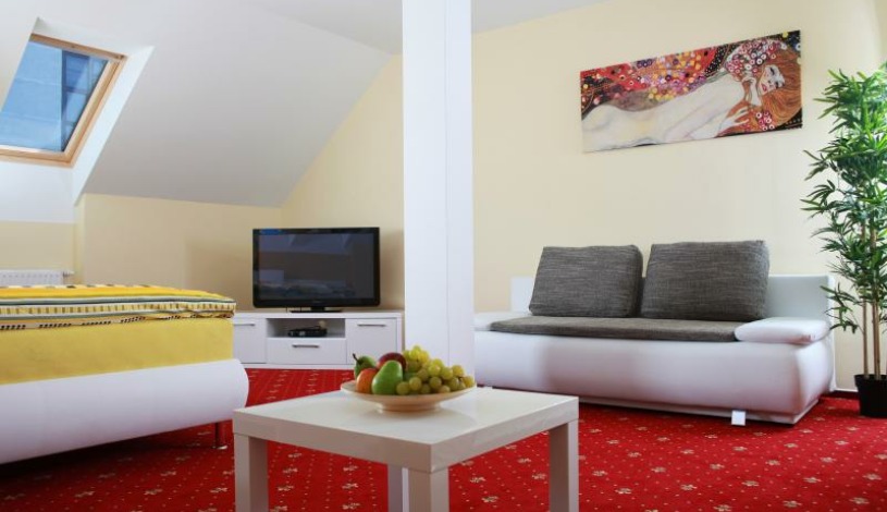 Vila Jiřinka Luhačovice - Manager