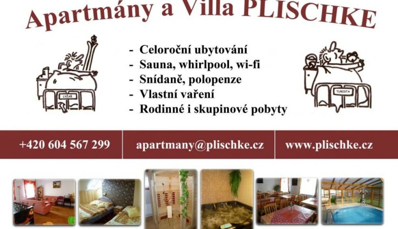 Villa Plischke Lipová-lázně