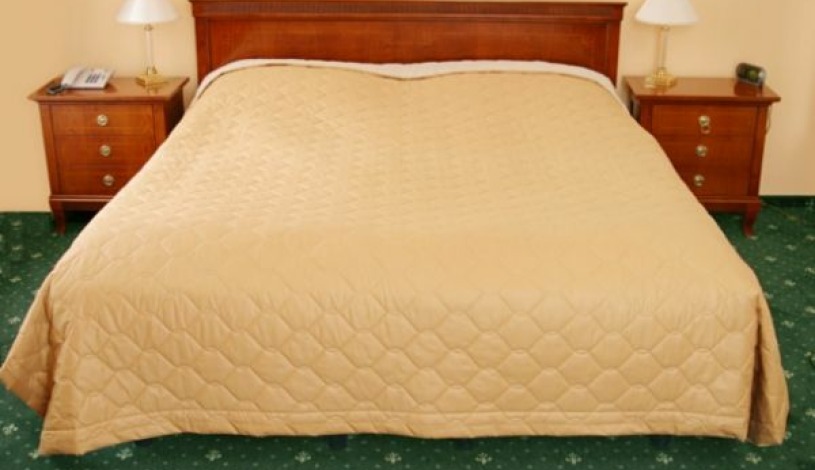 Hotel Villa Ritter  Karlovy Vary