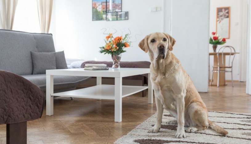 BookClever Apartments Prague Praha