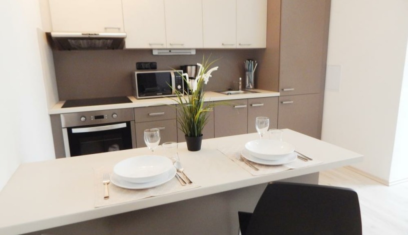 BookClever Apartments Prague Praha - Garden Grape House 3 (přízemí)  a 5 (první patro) - Studio pro 4