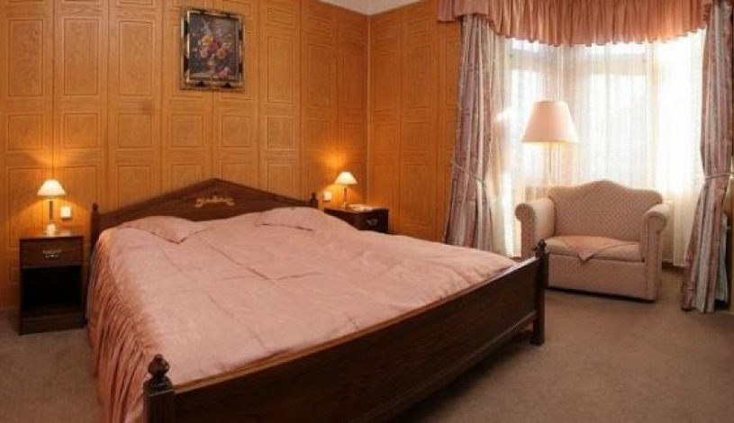 BookClever Apartments Prague Praha - Einbettzimmer