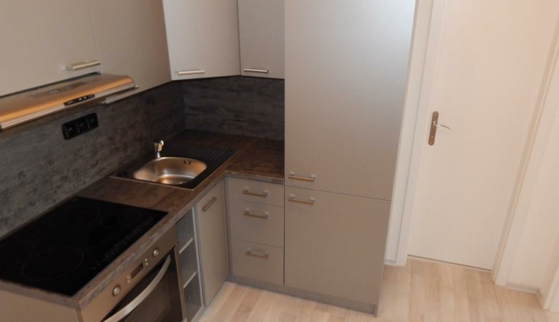 BookClever Apartments Prague Praha - Garden Grape House 2 a 4 - Apartmán pro 8 ,přízemí a první patro