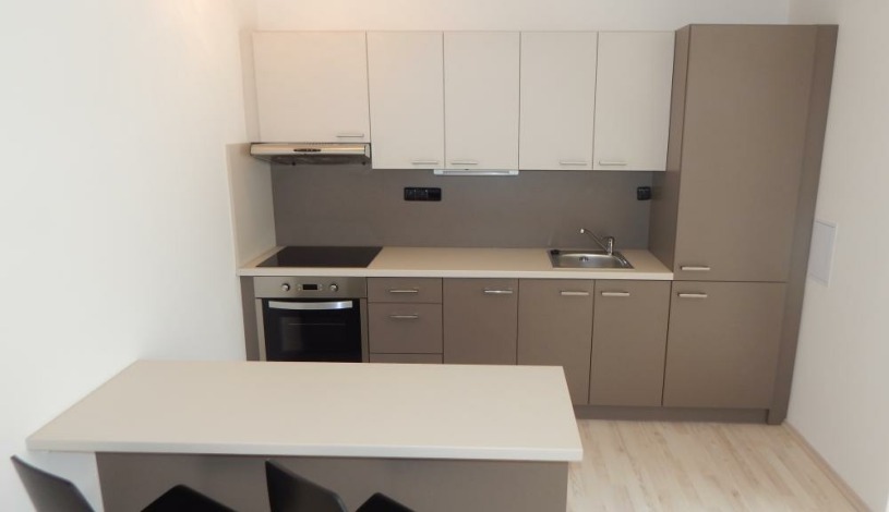 BookClever Apartments Prague Praha - Garden Grape House 3 (přízemí)  a 5 (první patro) - Studio pro 4