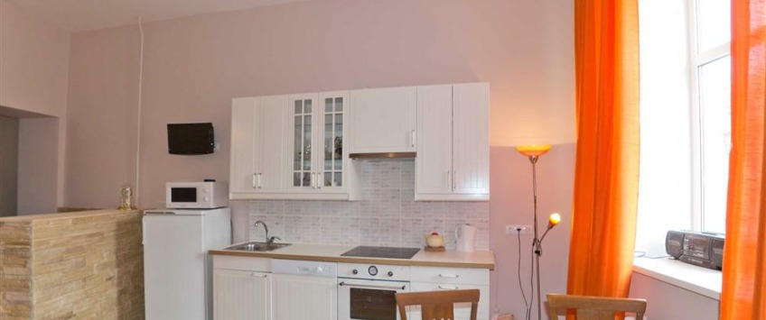 Apartment Vladimirskiy prospekt Sankt-Peterburg - Apt 1969