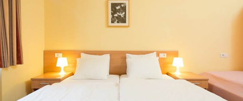 ApartHotel Vlkova Palace Praha - 1-bedroom apartment