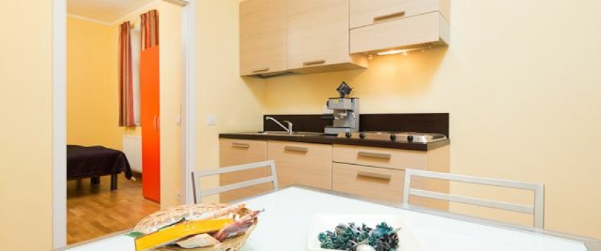 ApartHotel Vlkova Palace Praha - 1-bedroom apartment