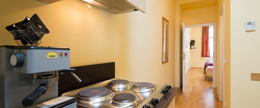ApartHotel Vlkova Palace Praha - Two-Bedroom Apartment