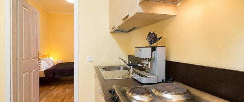 ApartHotel Vlkova Palace Praha - 1-bedroom apartment