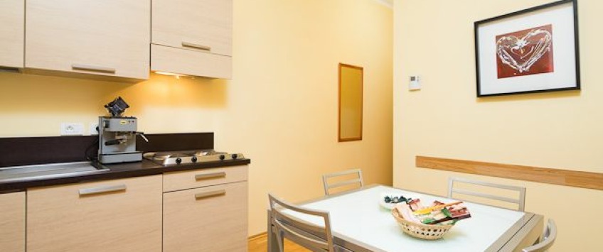 ApartHotel Vlkova Palace Praha - 1-bedroom apartment