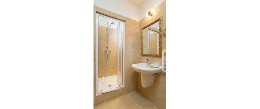 ApartHotel Vlkova Palace Praha - 1-bedroom apartment