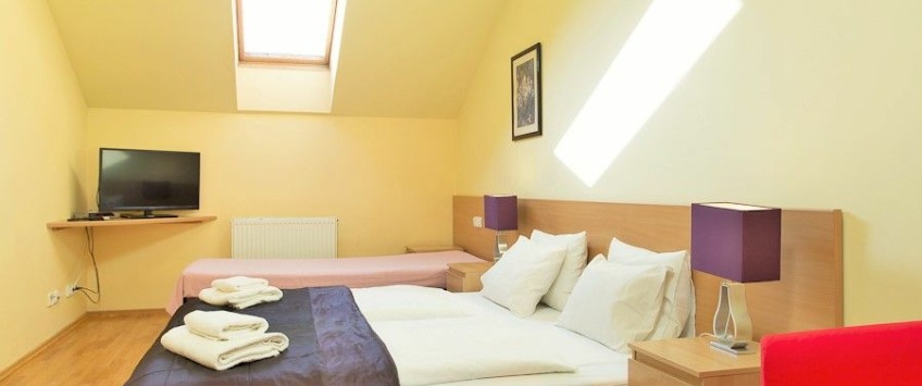 ApartHotel Vlkova Palace Praha - Apartment (7 persons)