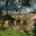 Apartment Vocabolo Petralata Umbria - Apt 38107