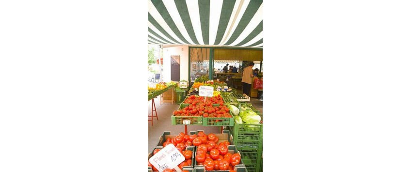 Apartment Volkertplatz Wien - Apt 17269
