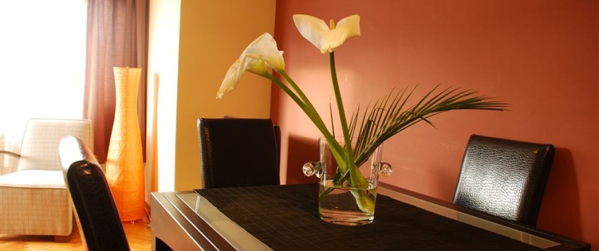 Apartment Vranjska Beograd - Apt 24369