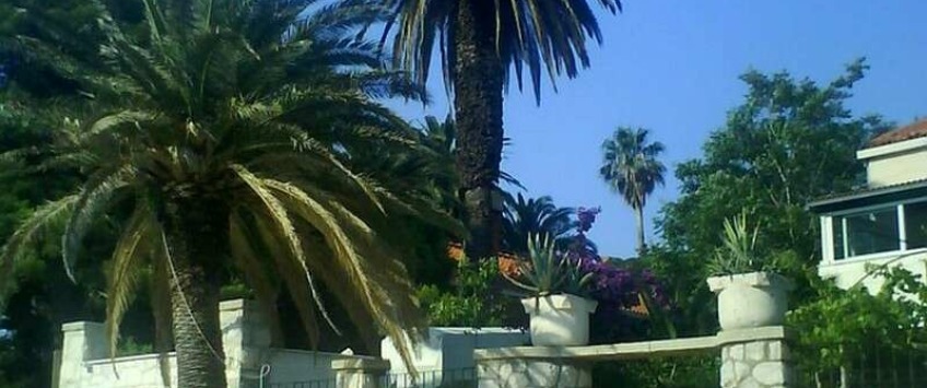 Apartment Vukovarska ulica Dubrovnik - Apt 31379