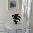 Apartment vulica Janki Kupaly 1 Minsk - Apt 41527