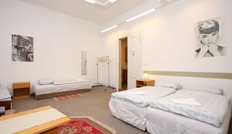 Hostel Vyšehradská Praha