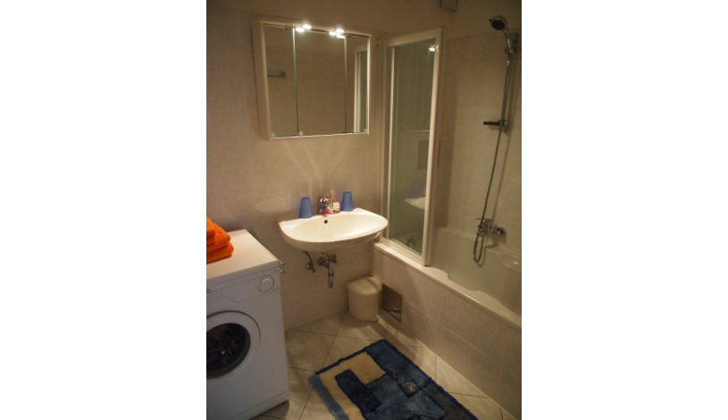 Apartment Weintraubengasse Wien - Apt 17333
