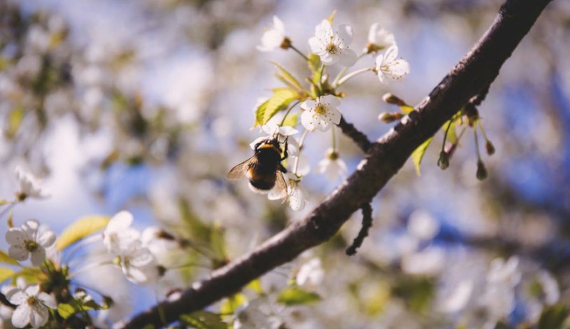 Wellness Hotel Pohoda Pozlovice