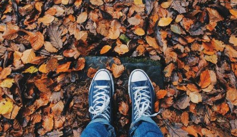 Wellness Hotel Pohoda Pozlovice