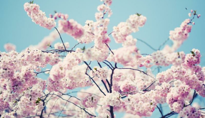 Wellness Hotel Pohoda Pozlovice