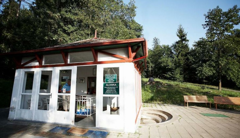 Wellness Hotel Pohoda Pozlovice