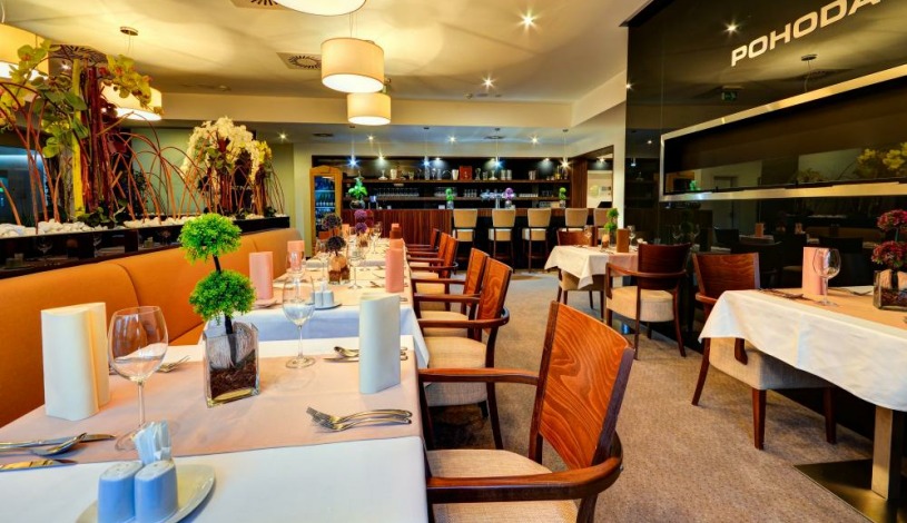 Wellness Hotel Pohoda Pozlovice