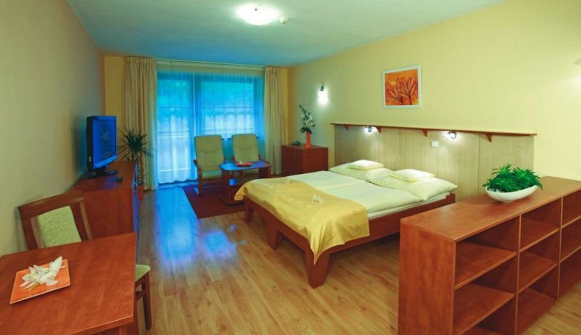 Wellness hotel Ambra Luhačovice - Dvoulůžkový pokoj Standard