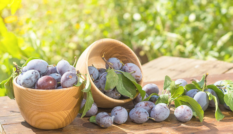 Wellness hotel Ambra Luhačovice
