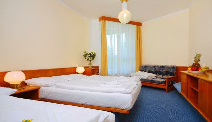 Wellness Hotel Svornost Harrachov