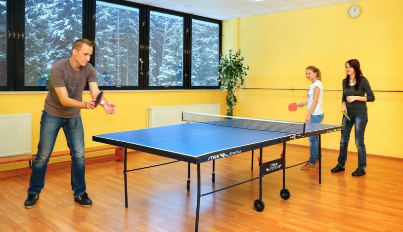 Wellness Hotel Svornost Harrachov