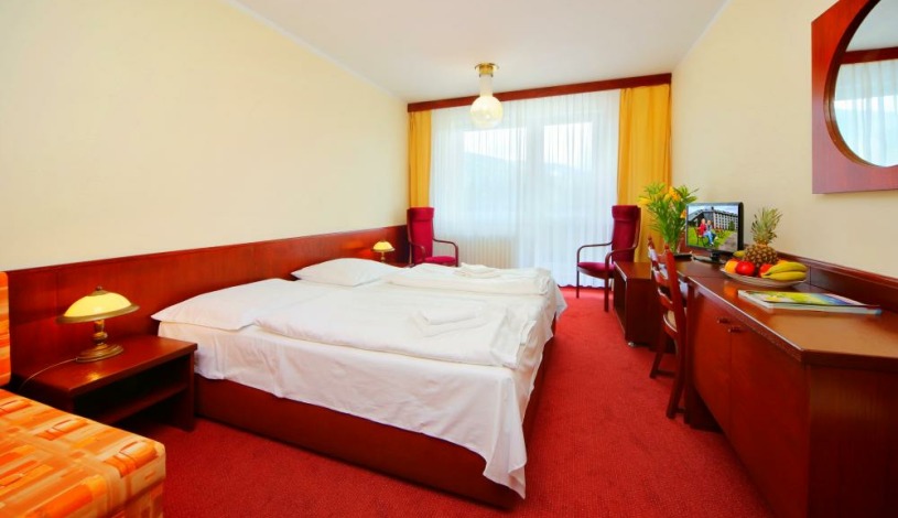 Wellness Hotel Svornost Harrachov
