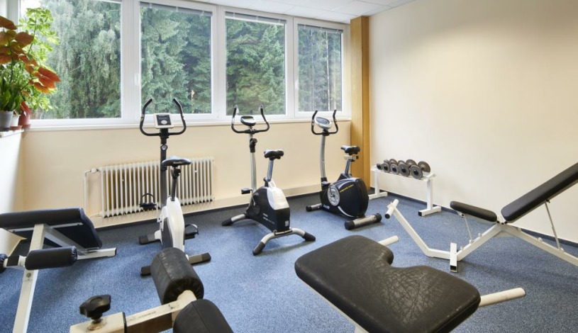 Wellness Hotel Svornost Harrachov