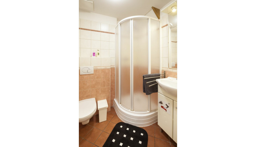 Hotel Apartamenty Plac Wacława Praha - Studio