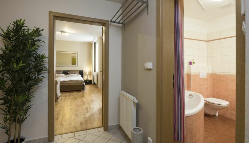 Hotel Apartamenty Plac Wacława Praha - Studio